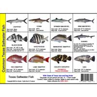 Fishing Regulations Mini Card - Texas Fishing Regulations Mini Card - Texas