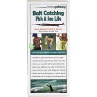 Bait Catching Fish and Sea Life Guide - So. Atlantic Bait Catching Fish and Sea Life Guide - So. Atlantic